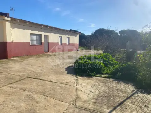 Finca rústica en El Rincón