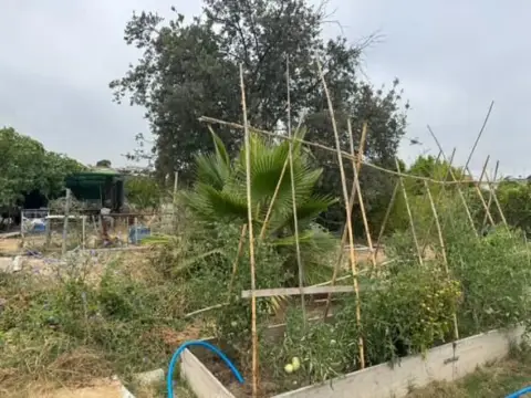 Finca rústica en Estella del Márquez
