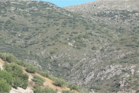 Finca rústica en Priego de Cordoba