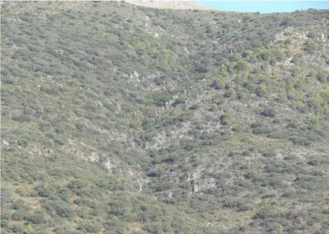 Finca rústica en Priego de Cordoba