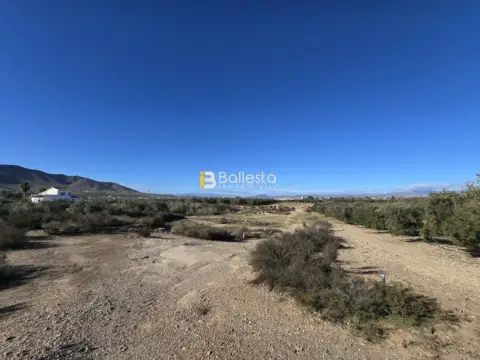 Terreno en El Saltador