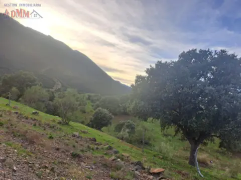 Finca rústica en Ciudad Real