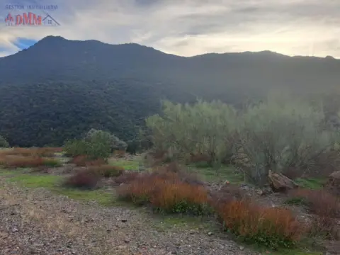 Finca rústica en Ciudad Real