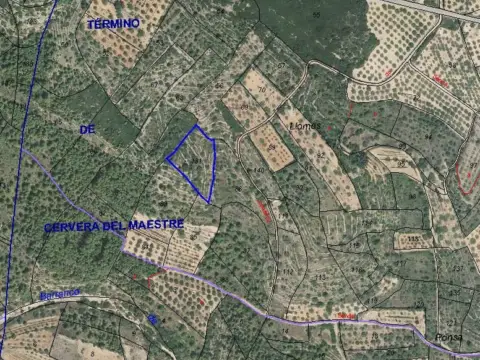 Finca rústica en calle 29. Partida Les Llomes, nº 21