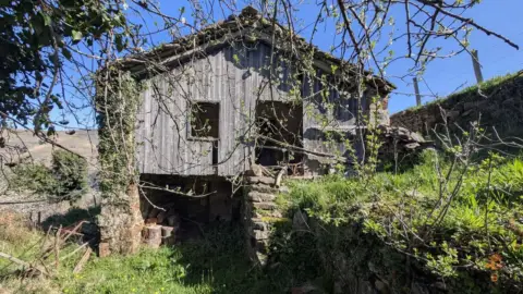 Finca rústica en calle Vegalosvados, nº 10