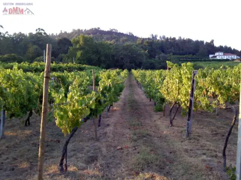 Finca rústica en Fernancaballero