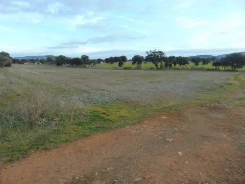 Finca rústica en Bazán