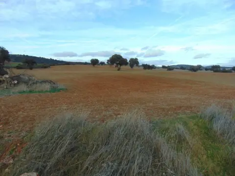 Finca rústica en Bazán