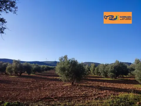 Finca rústica en Carretara del Cristo