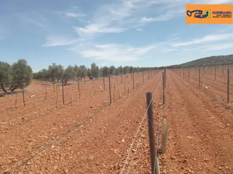 Finca rústica en Carretera Santa Cruz