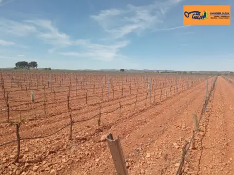 Finca rústica en Carretera Santa Cruz
