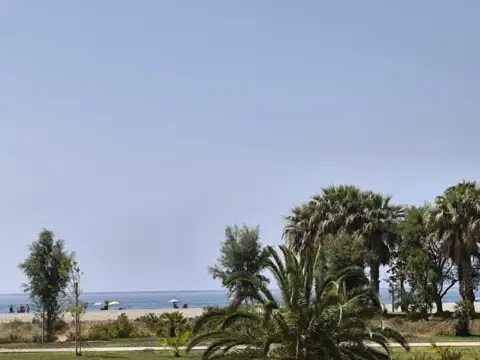 Pis – Motril