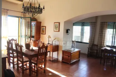 Finca rústica en Mairena del Alcor