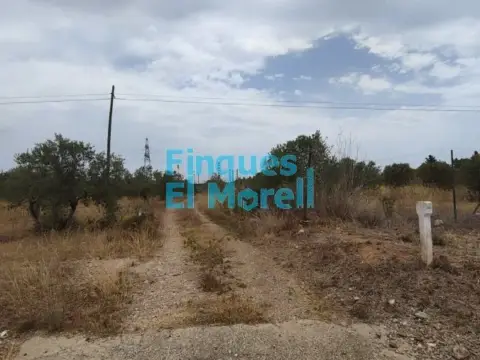 Finca rústica en Camino de Vall