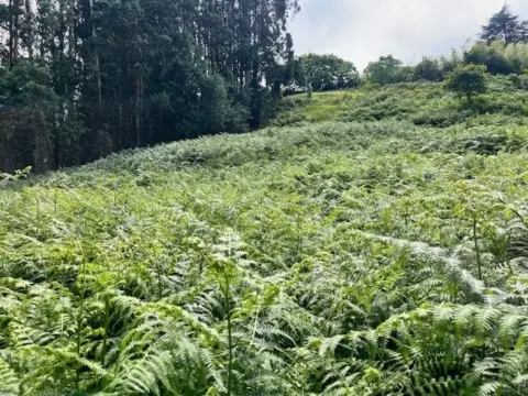 Finca rústica en San Martín de Huerces