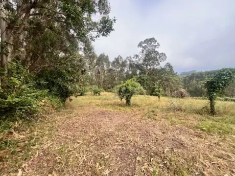Finca rústica en Castiello de La Marina