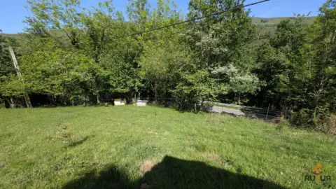 Finca rústica en calle Alar, nº 2524