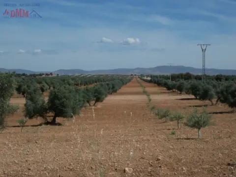Finca rústica en Ciudad Real