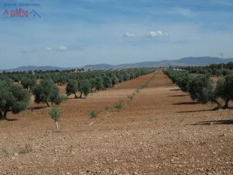 Finca rústica en Ciudad Real