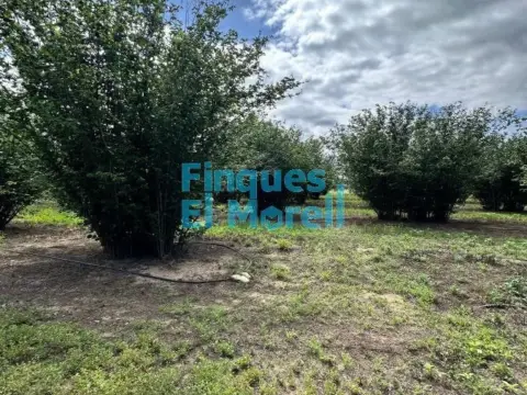 Finca rústica en Vilallonga del Camp