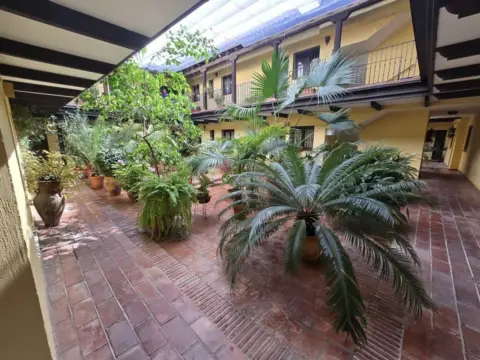 Apartamento en Centro - Alameda
