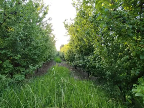 Finca rústica en Carretera Juneda