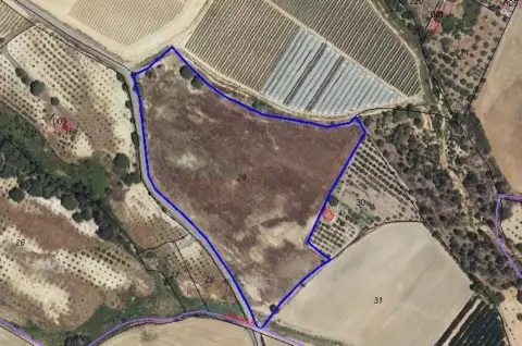 Finca rústica en Gibraleón