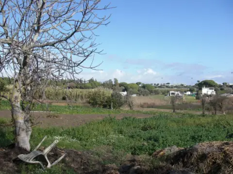 Finca rústica en El Soto