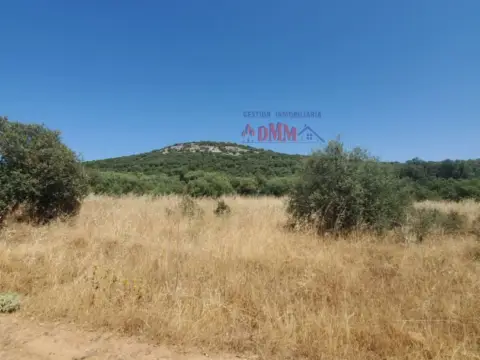 Finca rústica en Ciudad Real