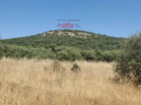 Finca rústica en Ciudad Real
