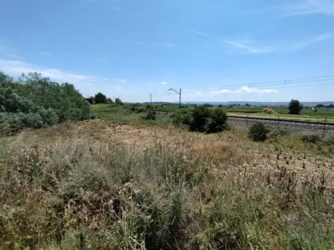 Finca rústica en calle Bassa Torre