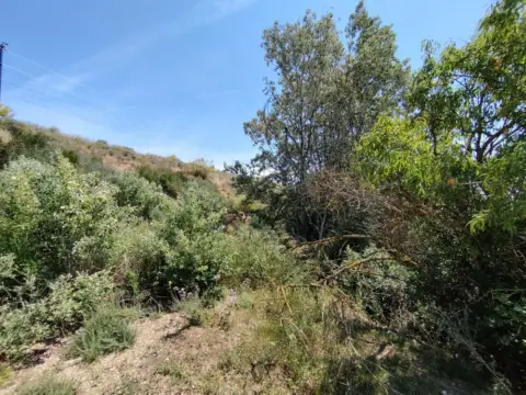Finca rústica en calle Bassa Torre