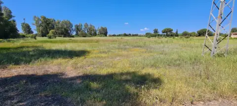 Finca rústica en Gibraleón