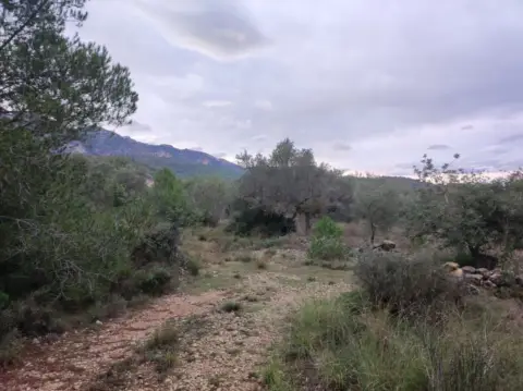 Finca rústica en Carrer de la Martinenca