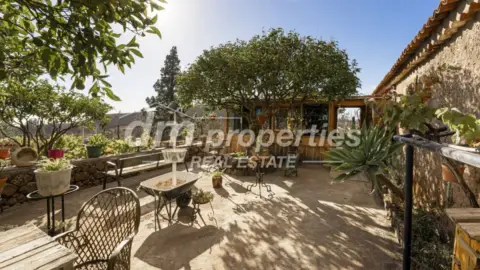 Finca rústica en Vilaflor