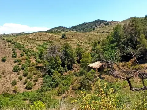 Finca rústica en calle Rocafort