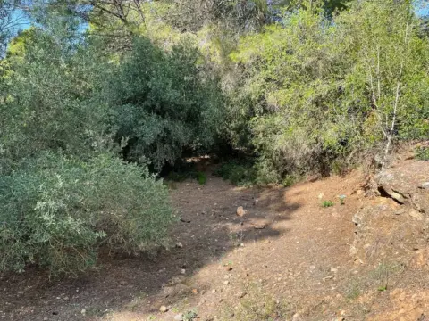 Finca rústica en Alcover