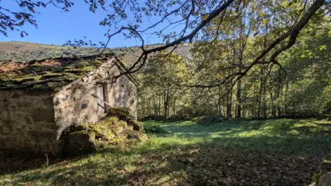 Finca rústica en calle Bustiyerro