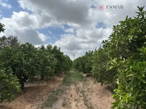 Terreno en Sagunto - Sagunt