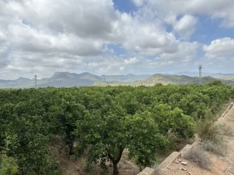 Terreno en Sagunto - Sagunt