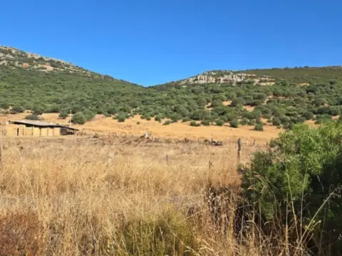 Finca rústica en Ciudad Real