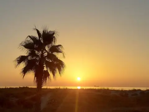 Chalet en Avenida de Castalia