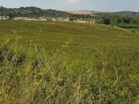 Finca rústica en Arcos de La Frontera