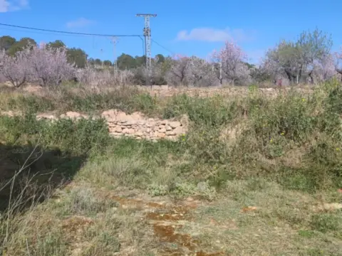 Finca rústica en calle Hereu-Carruano