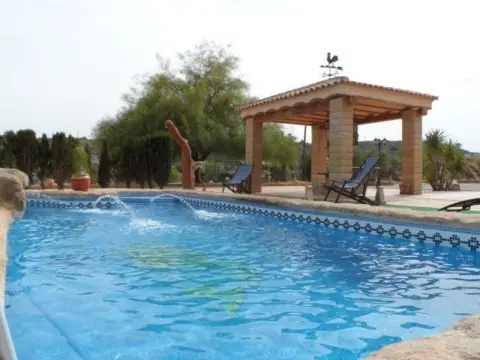 Finca rústica en Elche-Elx