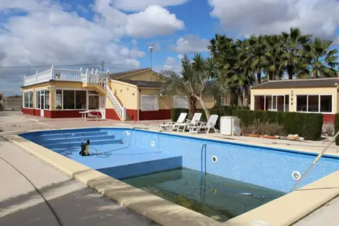 Finca rústica en Crevillent