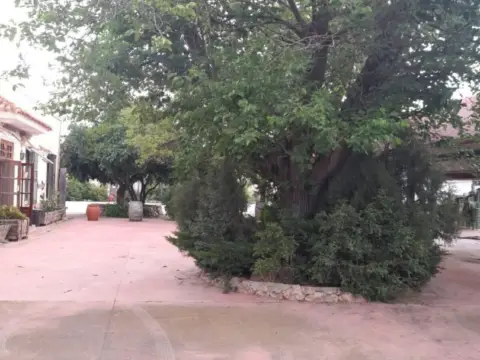 Finca rústica en Carretera Jaén