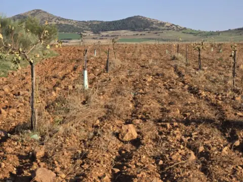 Finca rústica en Malagon