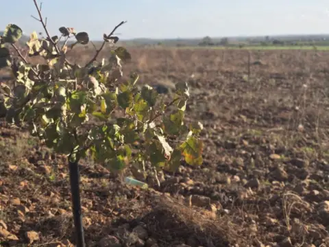 Finca rústica en Malagon