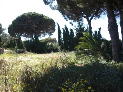 Finca rústica en La Muela